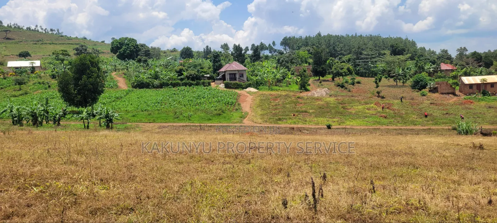 Namayumba Roadside Estate in Wakiso / Wakiso