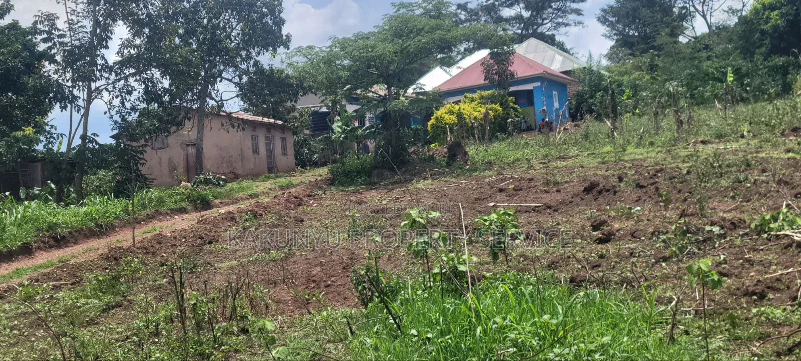 8m 50x100ft, Gobero Wakiso in Wakiso / Wakiso