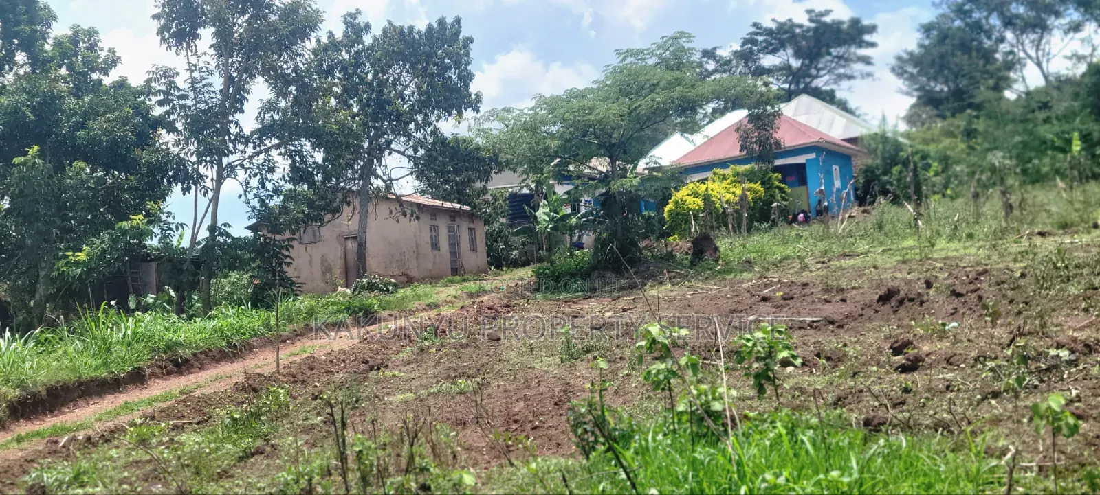 8m 50x100ft, Gobero Wakiso in Wakiso / Wakiso