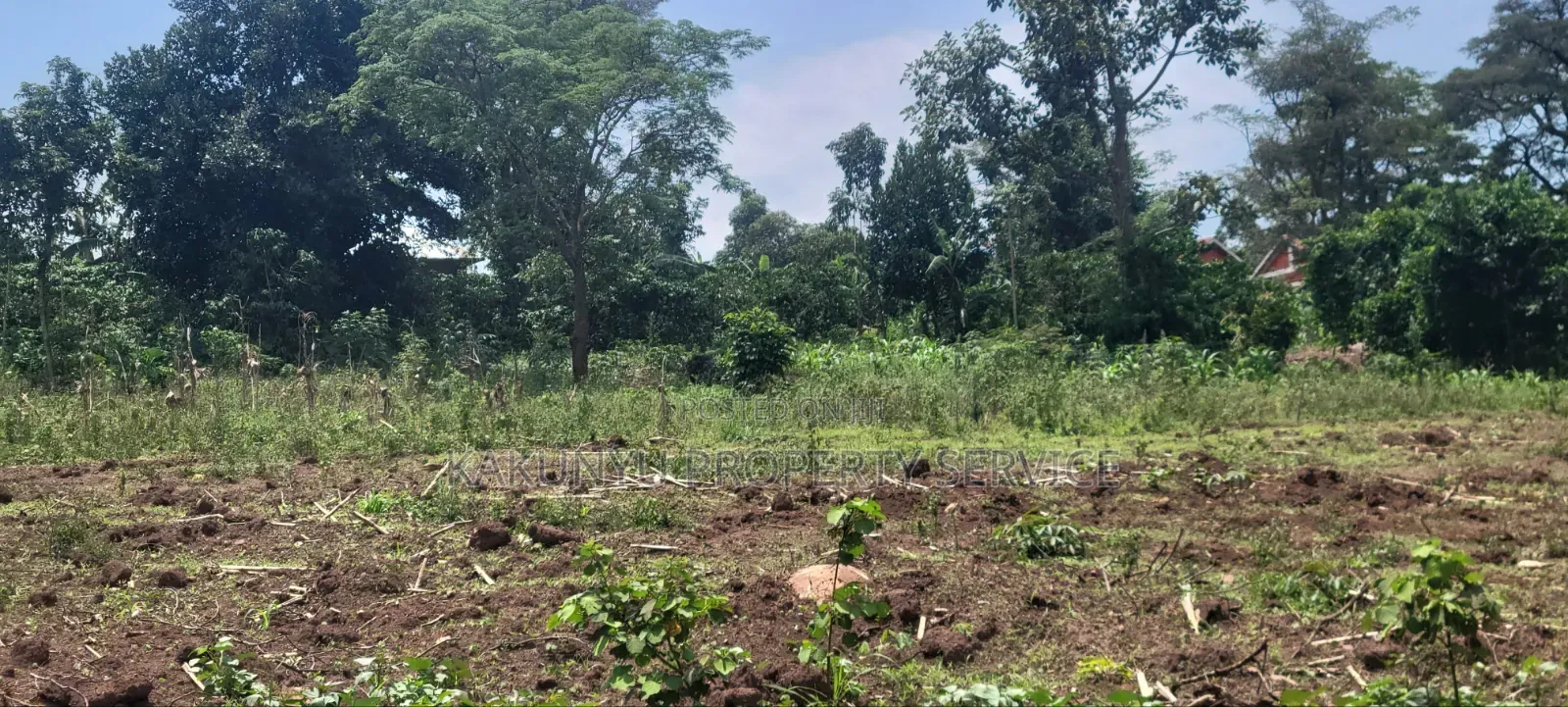 8m 50x100ft, Gobero Wakiso in Wakiso / Wakiso