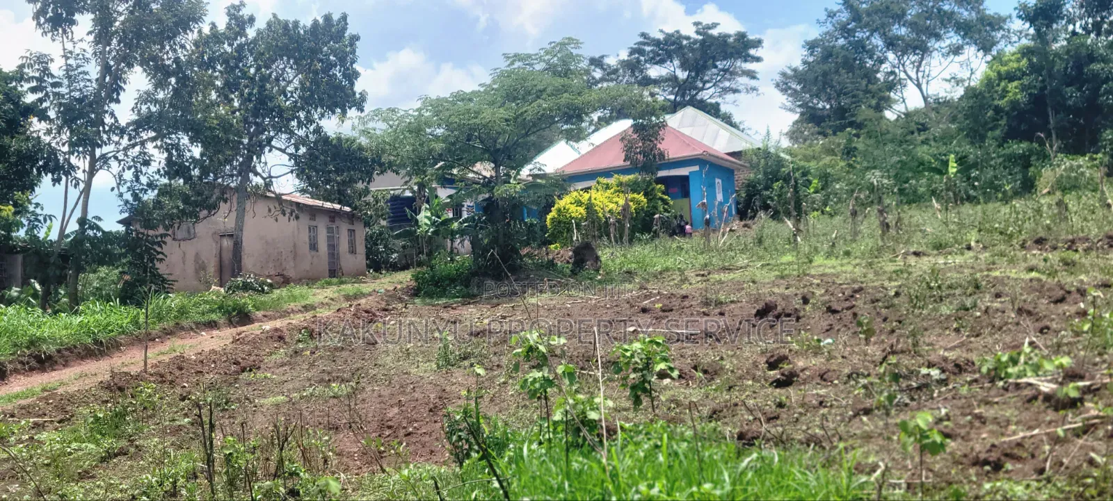 8m 50x100ft, Gobero Wakiso in Wakiso / Wakiso
