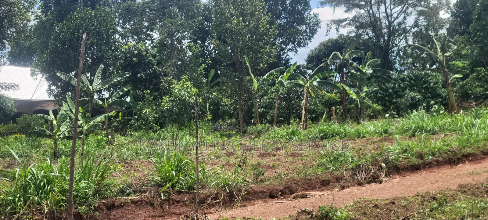 8m 50x100ft, Gobero Wakiso in Wakiso / Wakiso
