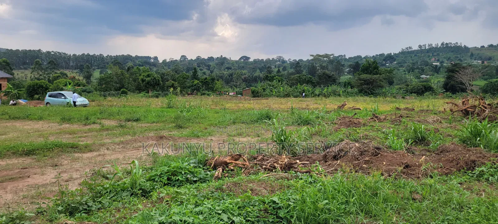 Gobero 11m Ready Titles in Wakiso / Wakiso