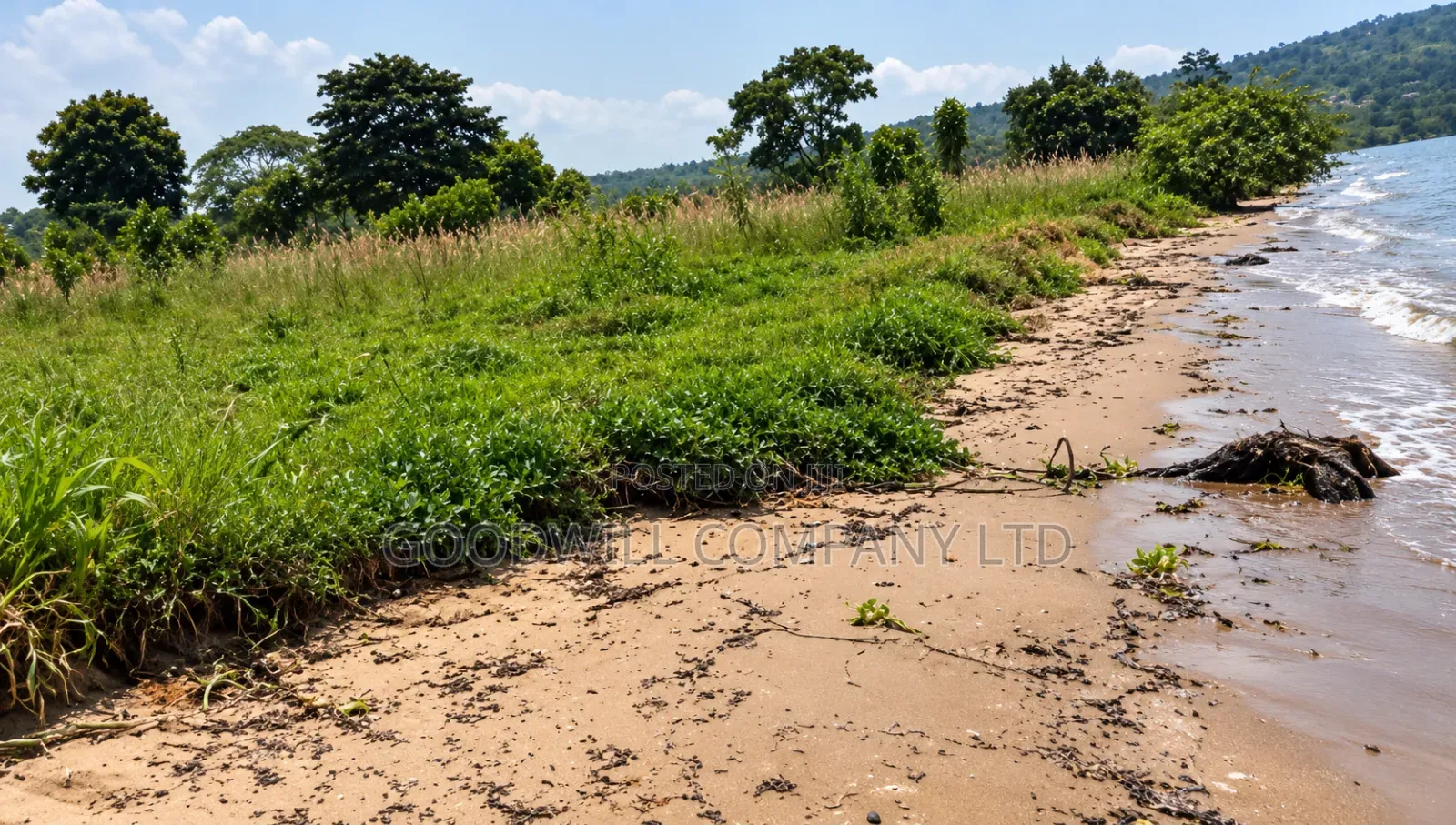 10 Acres of Beach Land in Bubwa Nkokonjeru Touching Lake Victoria in Central Division