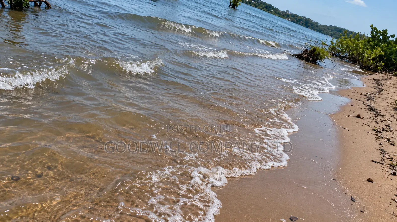 10 Acres of Beach Land in Bubwa Nkokonjeru Touching Lake Victoria in Central Division
