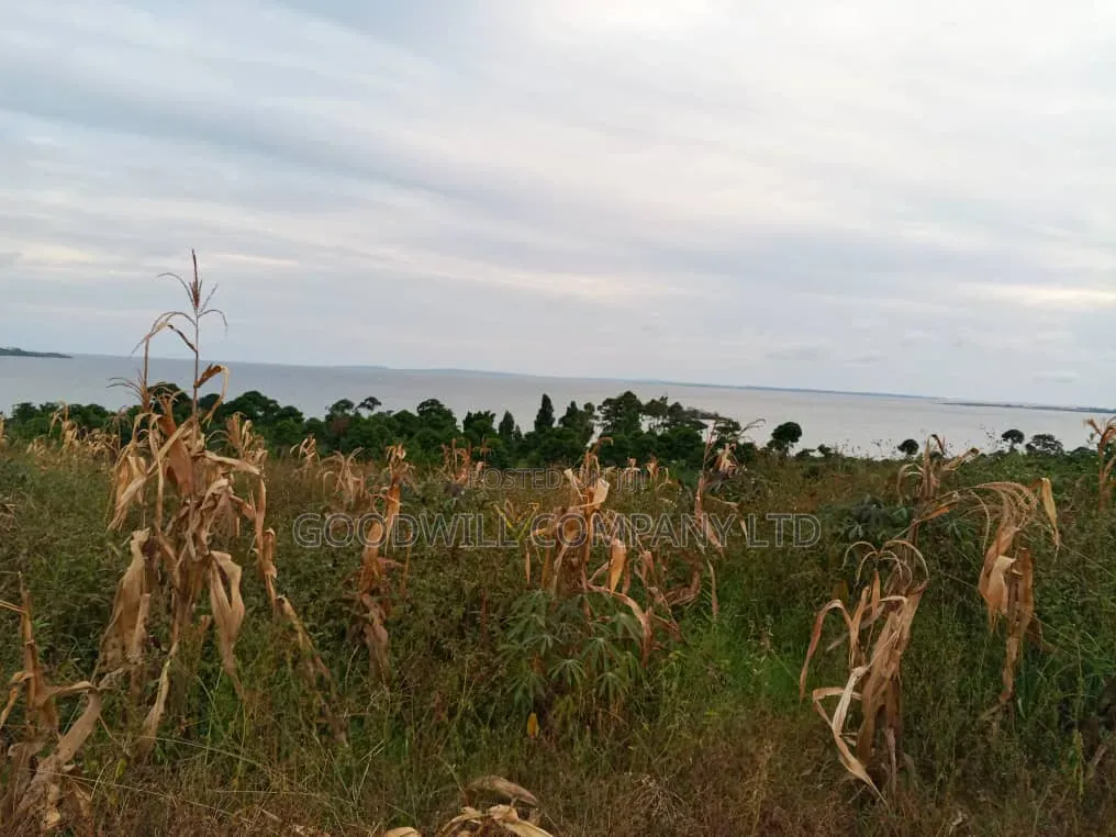10 Acres of Beach Land in Bubwa Nkokonjeru Touching Lake Victoria in Central Division