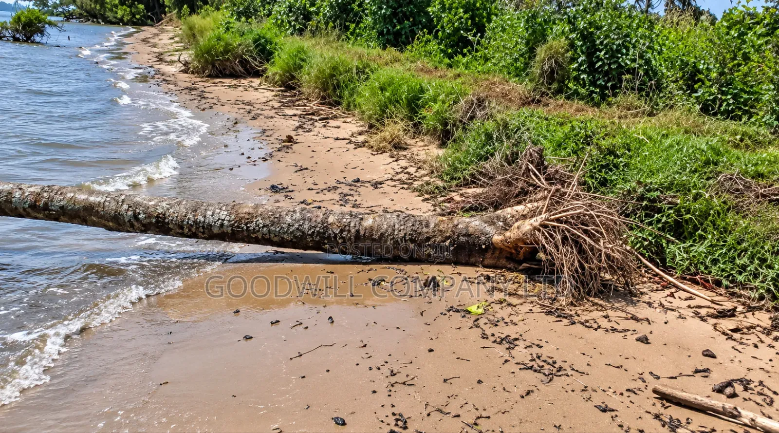 10 Acres of Beach Land in Bubwa Nkokonjeru Touching Lake Victoria in Central Division