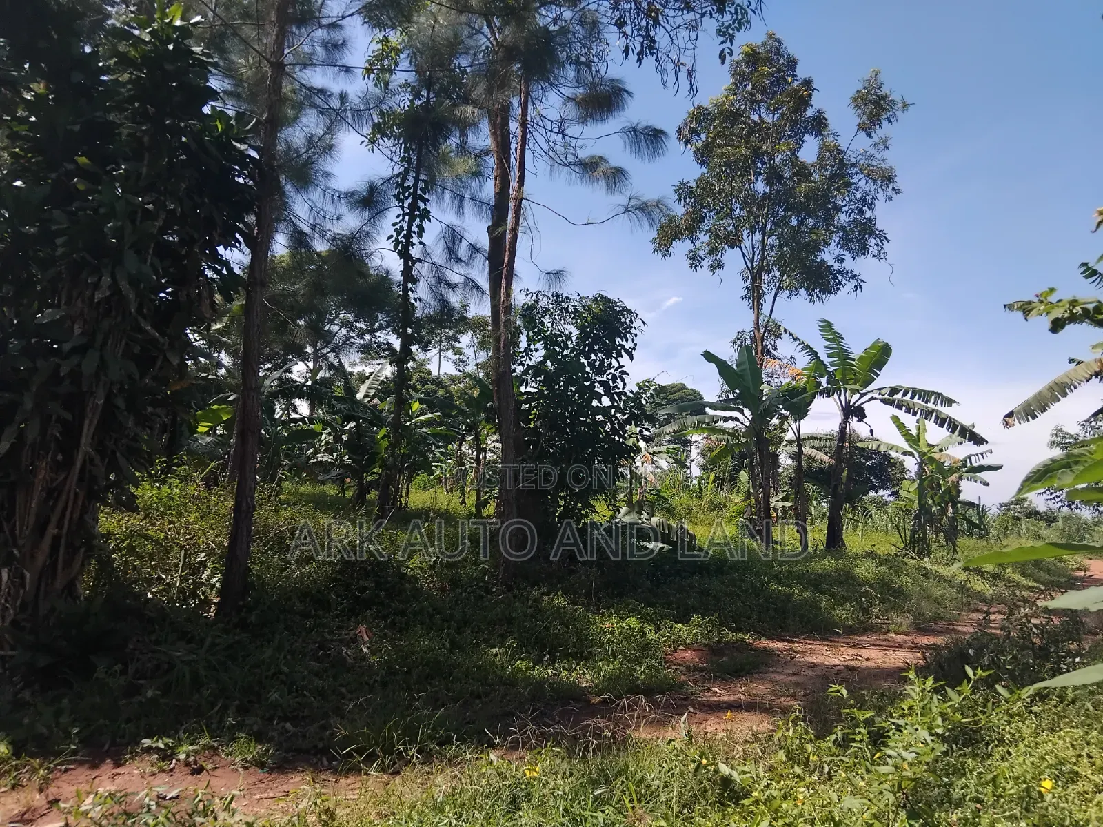 Land for Sale in Nakisunga