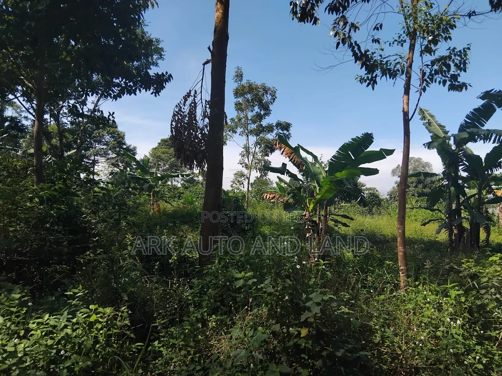 Land for Sale in Nakisunga