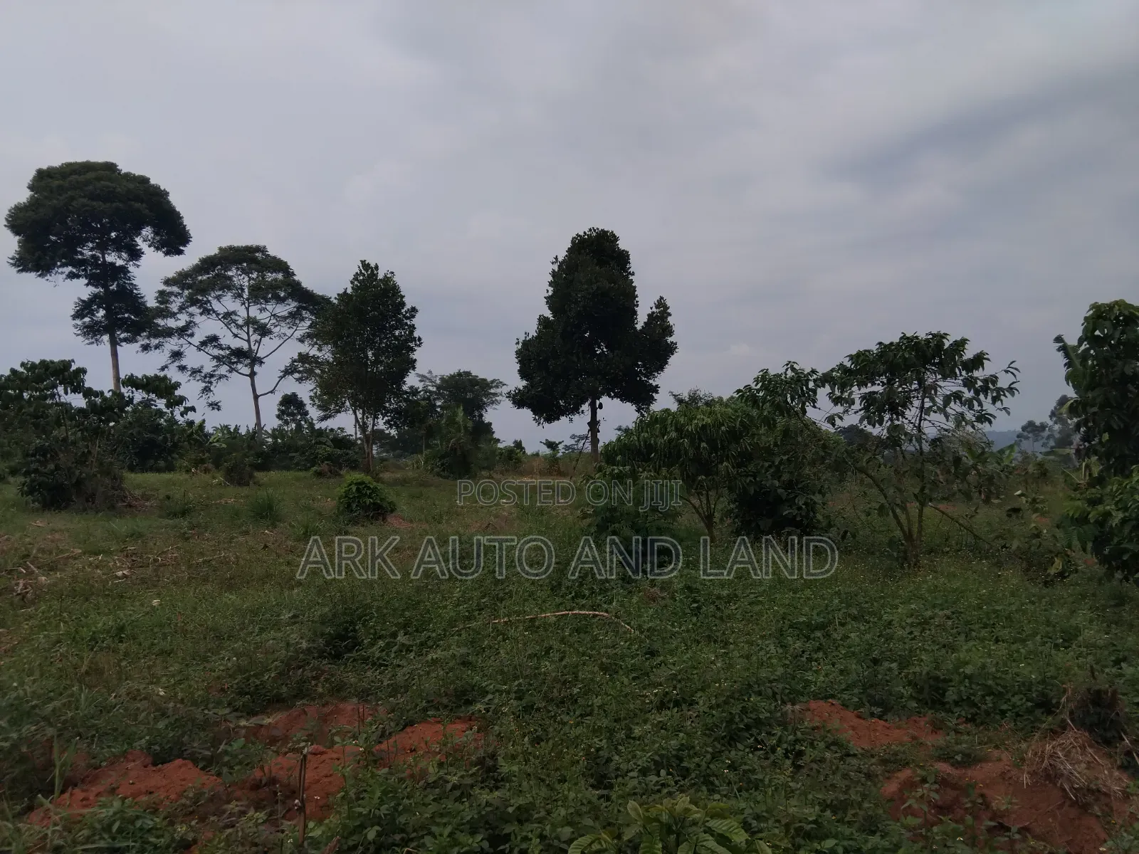 Land for Sale in Nakisunga