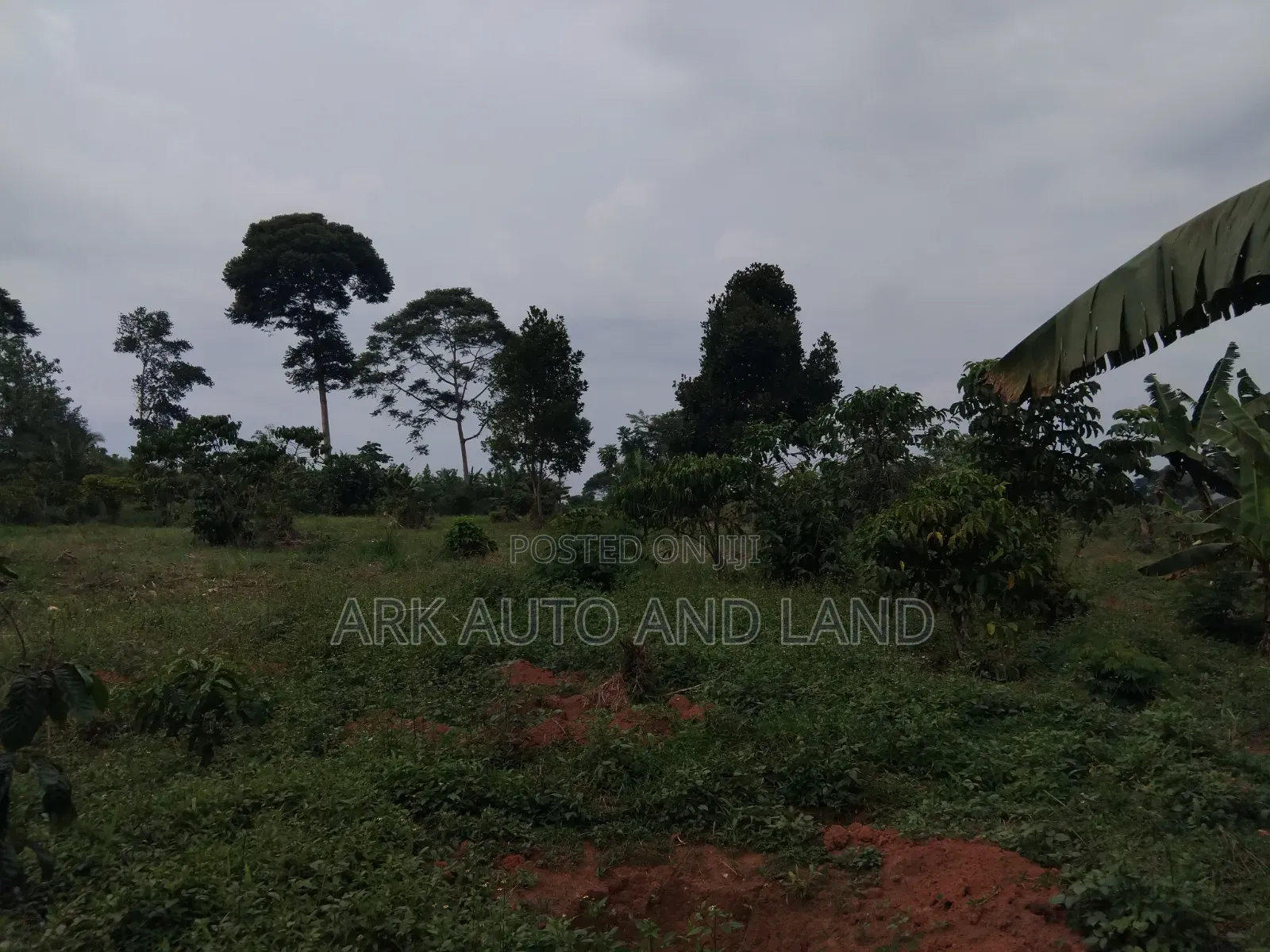 Land for Sale in Nakisunga