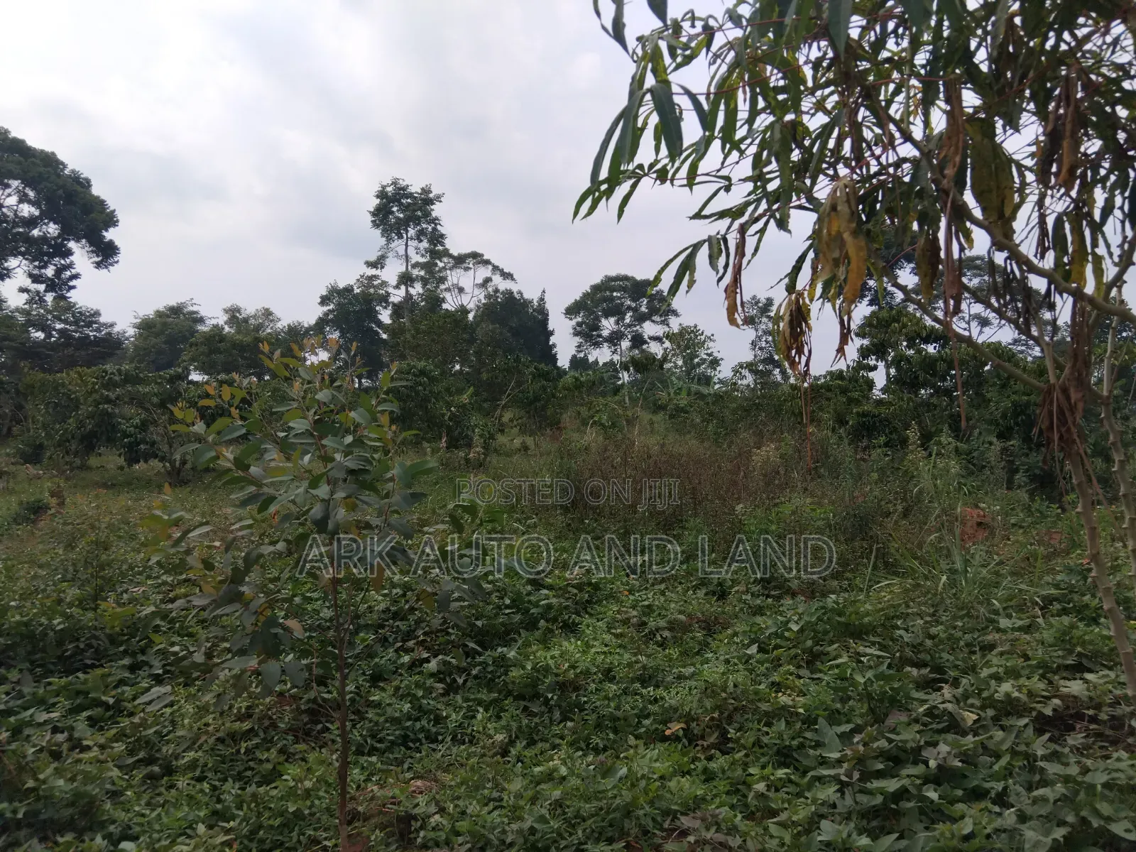Land for Sale in Nakisunga