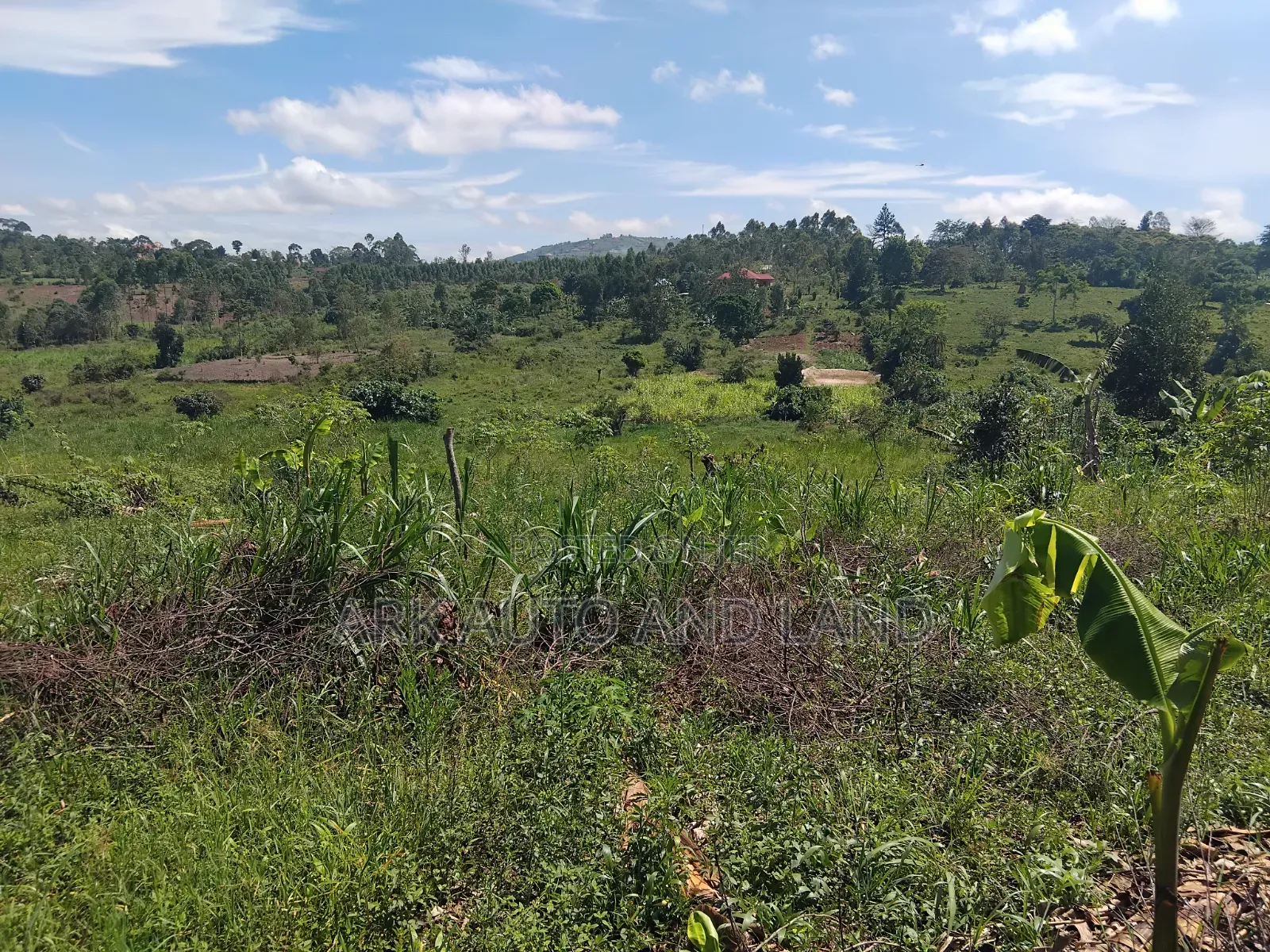 Mukono Land in Nakisunga