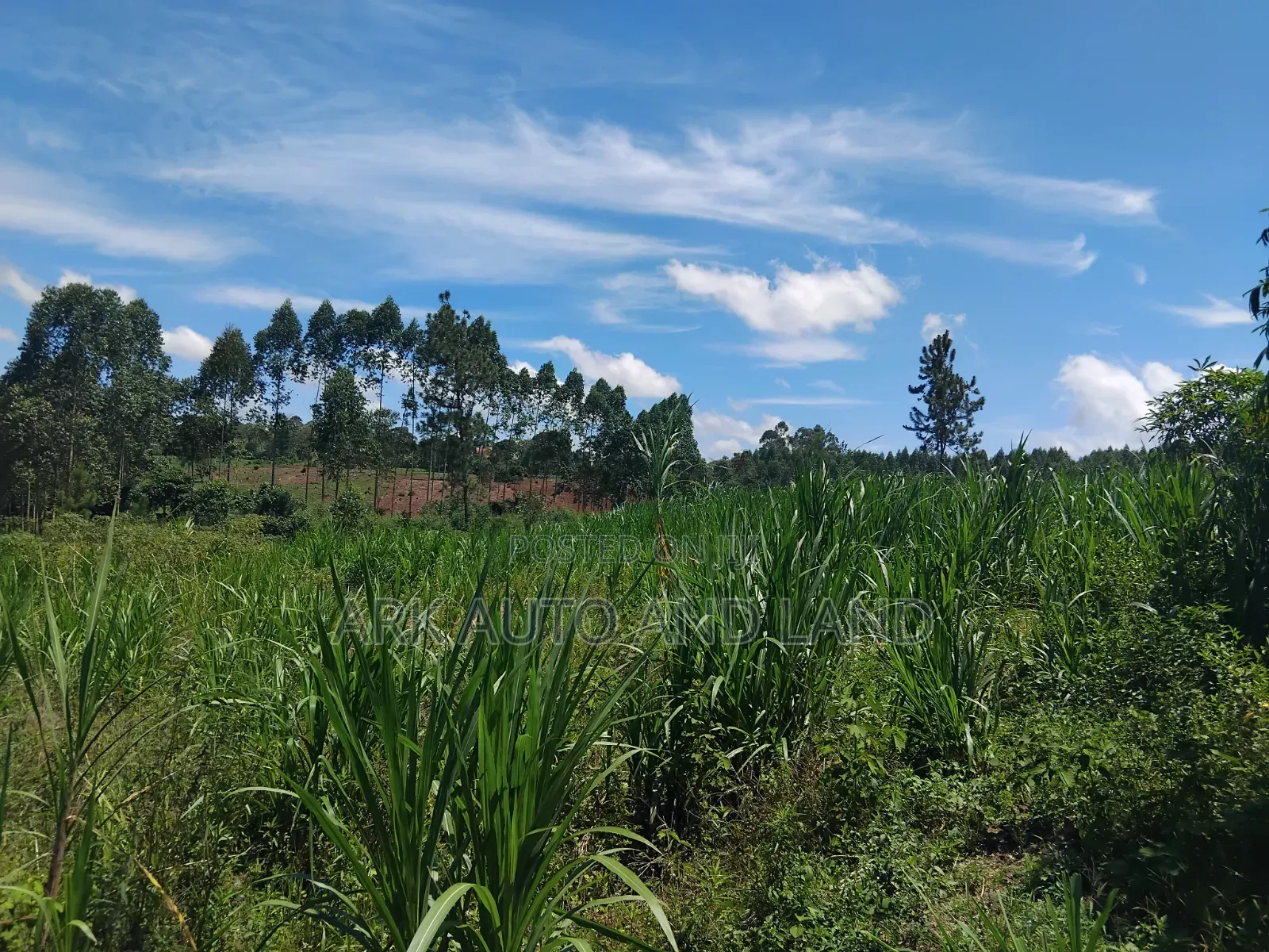 Agricultural Land. in Nakisunga