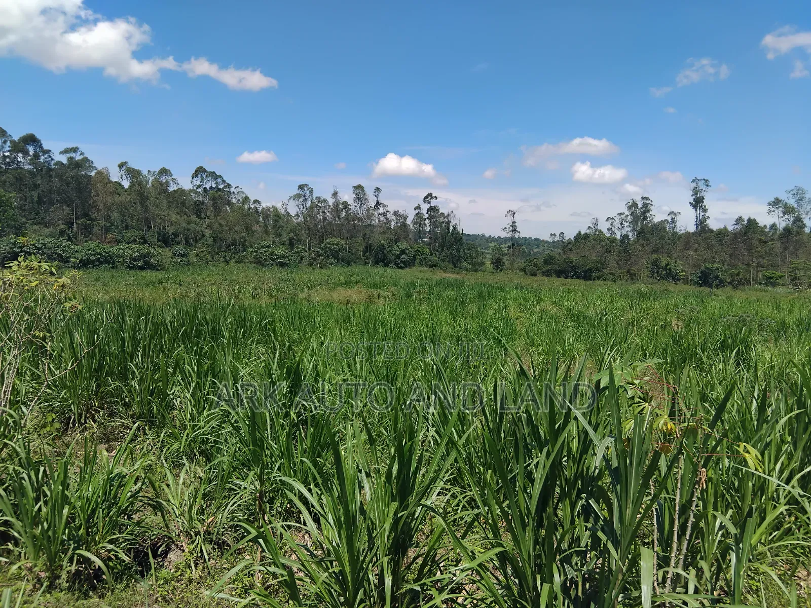 Agricultural Land. in Nakisunga