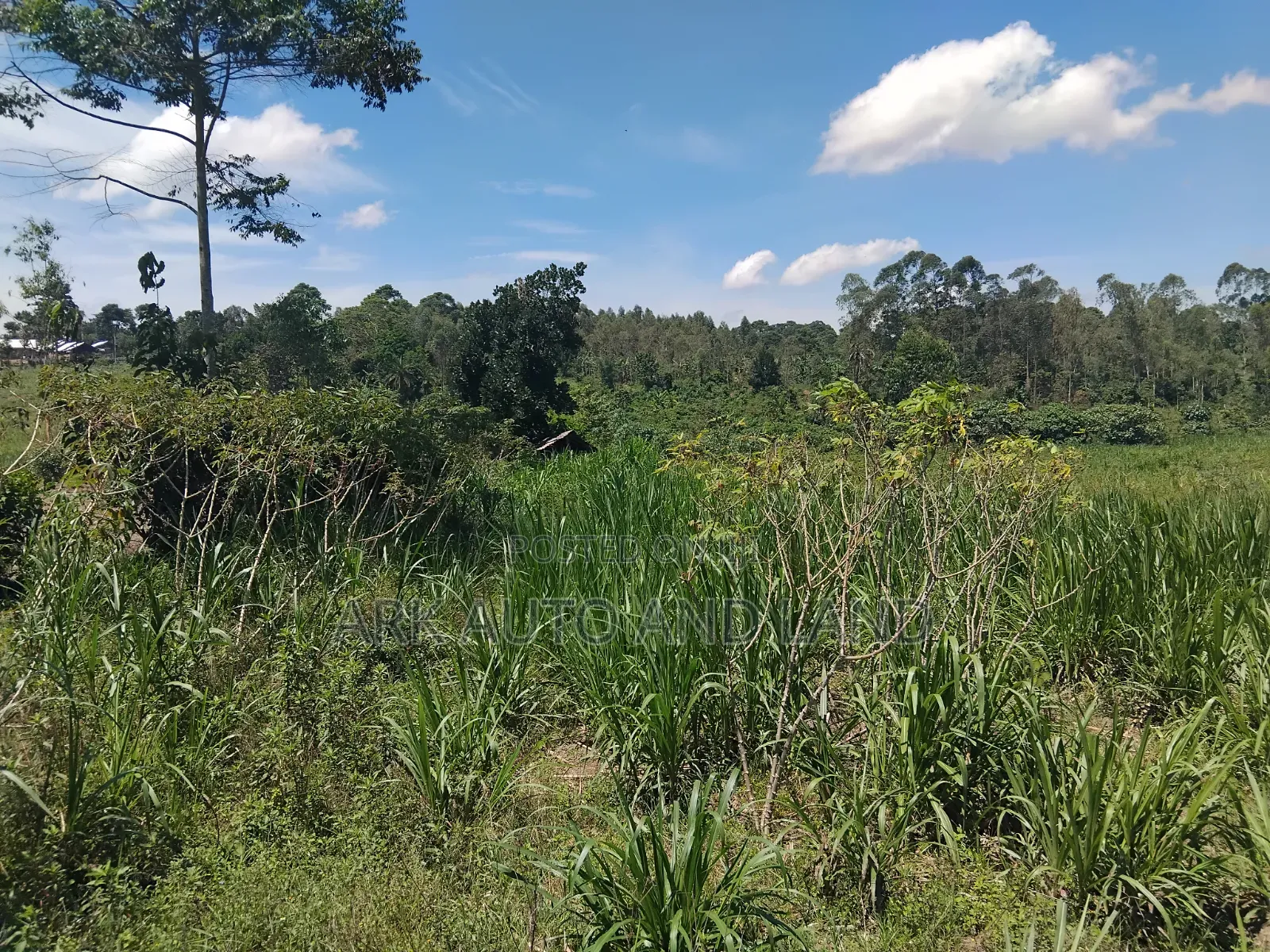 Agricultural Land. in Nakisunga