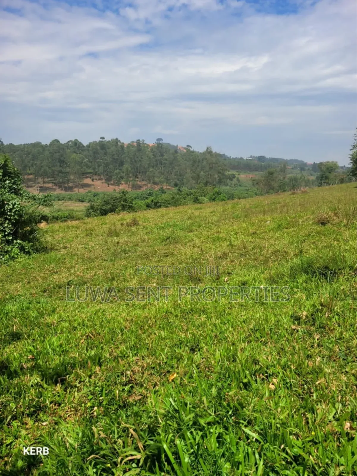 7Sq Miles Mailo Land for Sale NAKASONGOLA PRIVATE MAILO TITLE in Rubaga