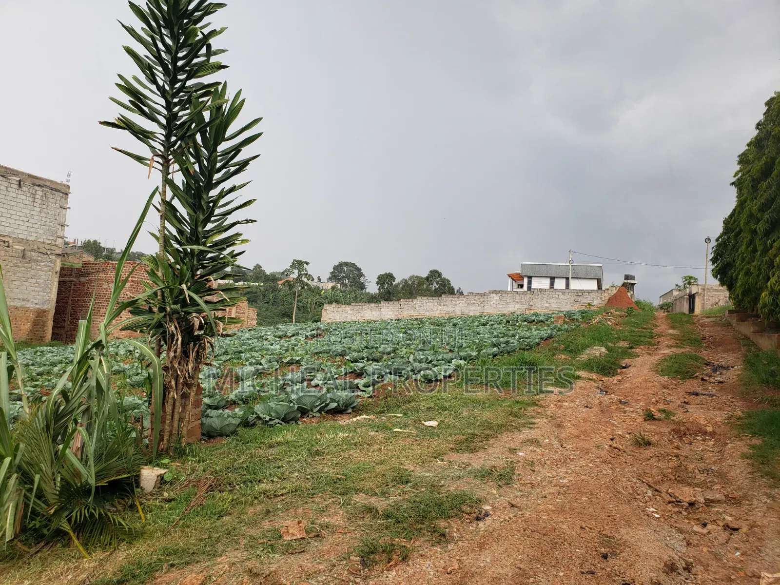3 Plot of 50ft by 100ft at 160m Namugongo Sonde in Kira