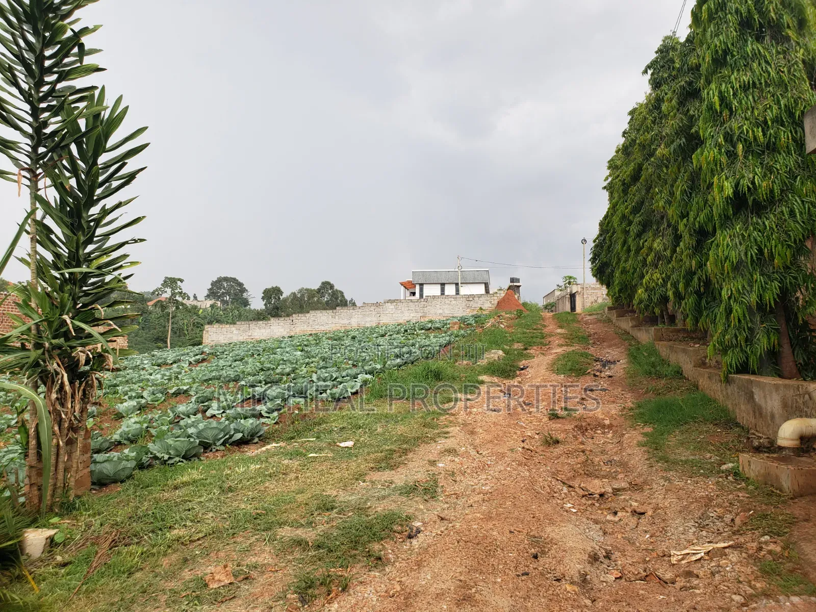 3 Plot of 50ft by 100ft at 160m Namugongo Sonde in Kira