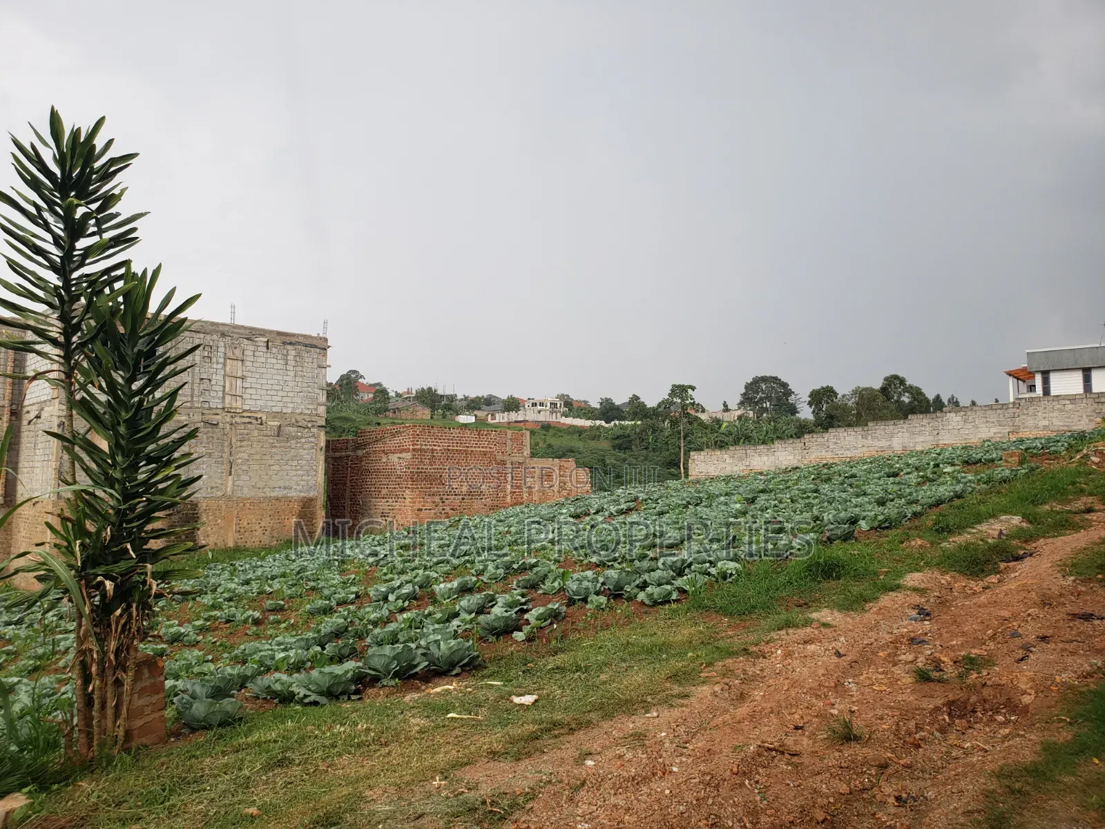 3 Plot of 50ft by 100ft at 160m Namugongo Sonde in Kira