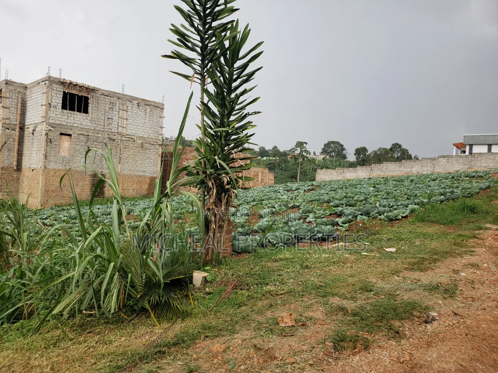 3 Plot of 50ft by 100ft at 160m Namugongo Sonde in Kira