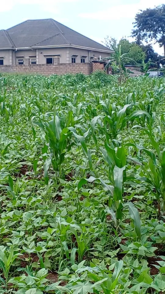 30 Decimals of Land for Sale – Kabubu in Division A