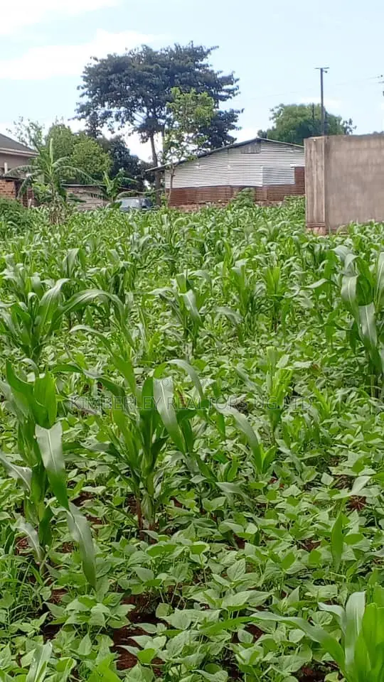 30 Decimals of Land for Sale – Kabubu in Division A