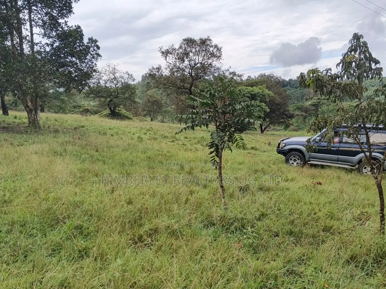  Bank Pressure Sale – 83.3 Acres of Land for Sale, Mukyenda, Mubende in Mubende TC
