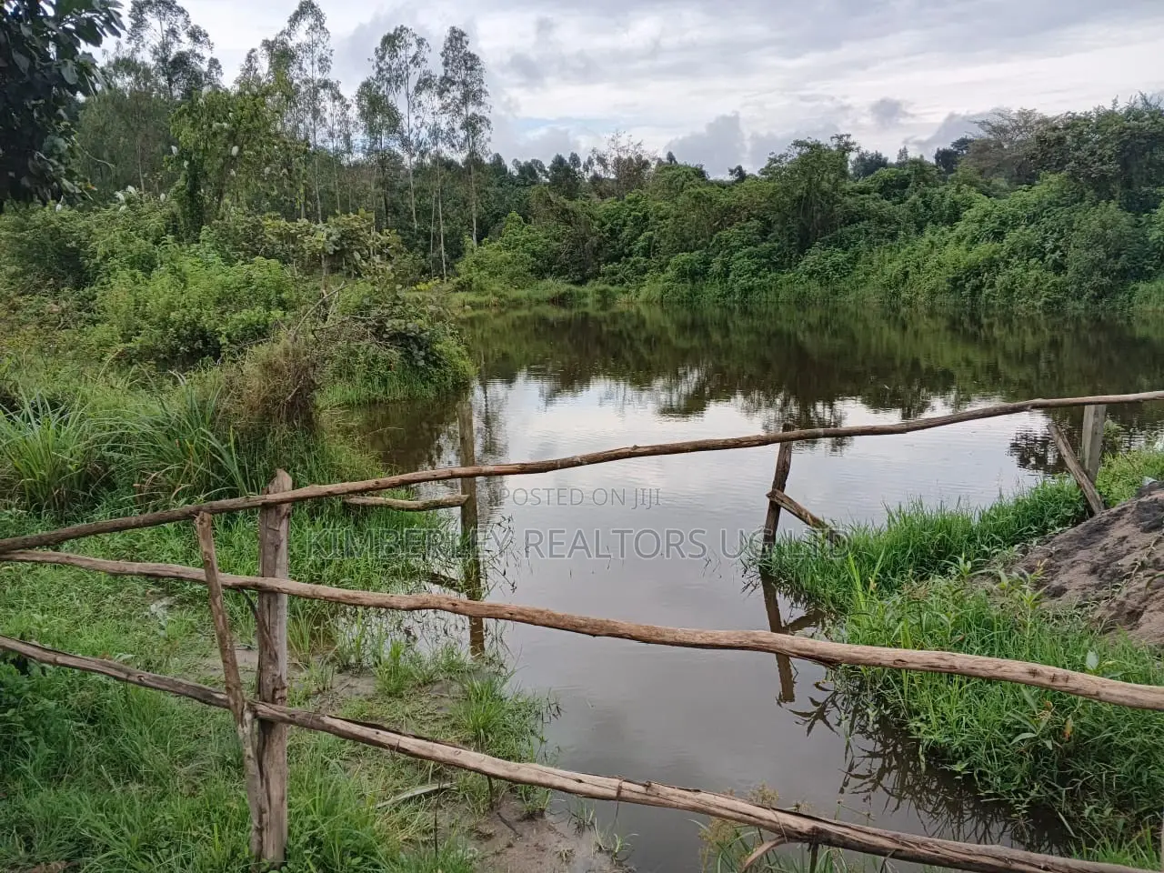  Bank Pressure Sale – 83.3 Acres of Land for Sale, Mukyenda, Mubende in Mubende TC