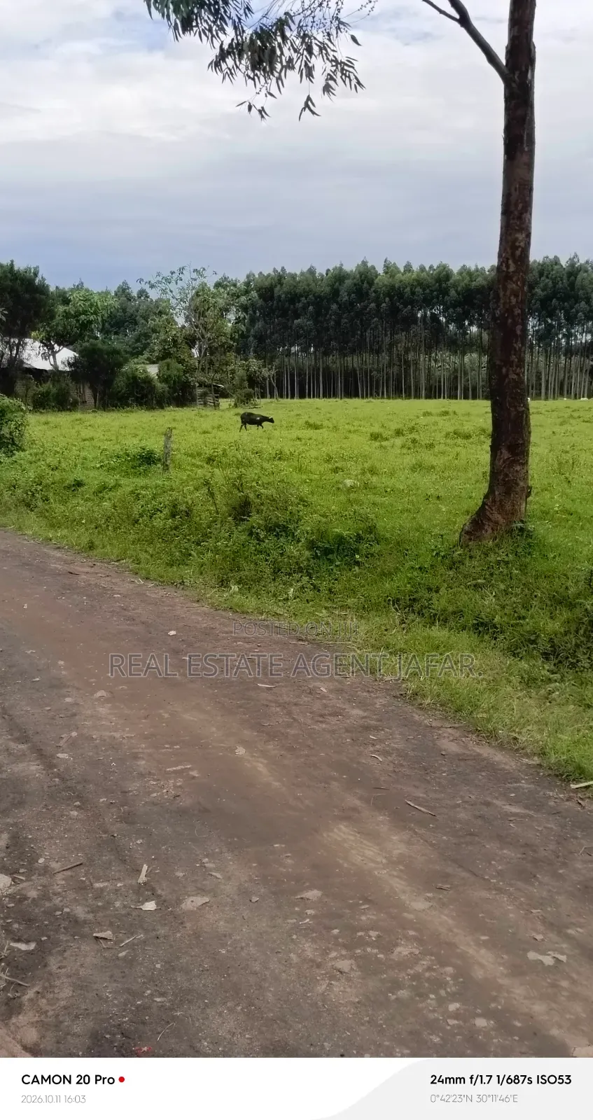 4.4 Acres of Land for Sale in Fort Portal City. in Kabalore