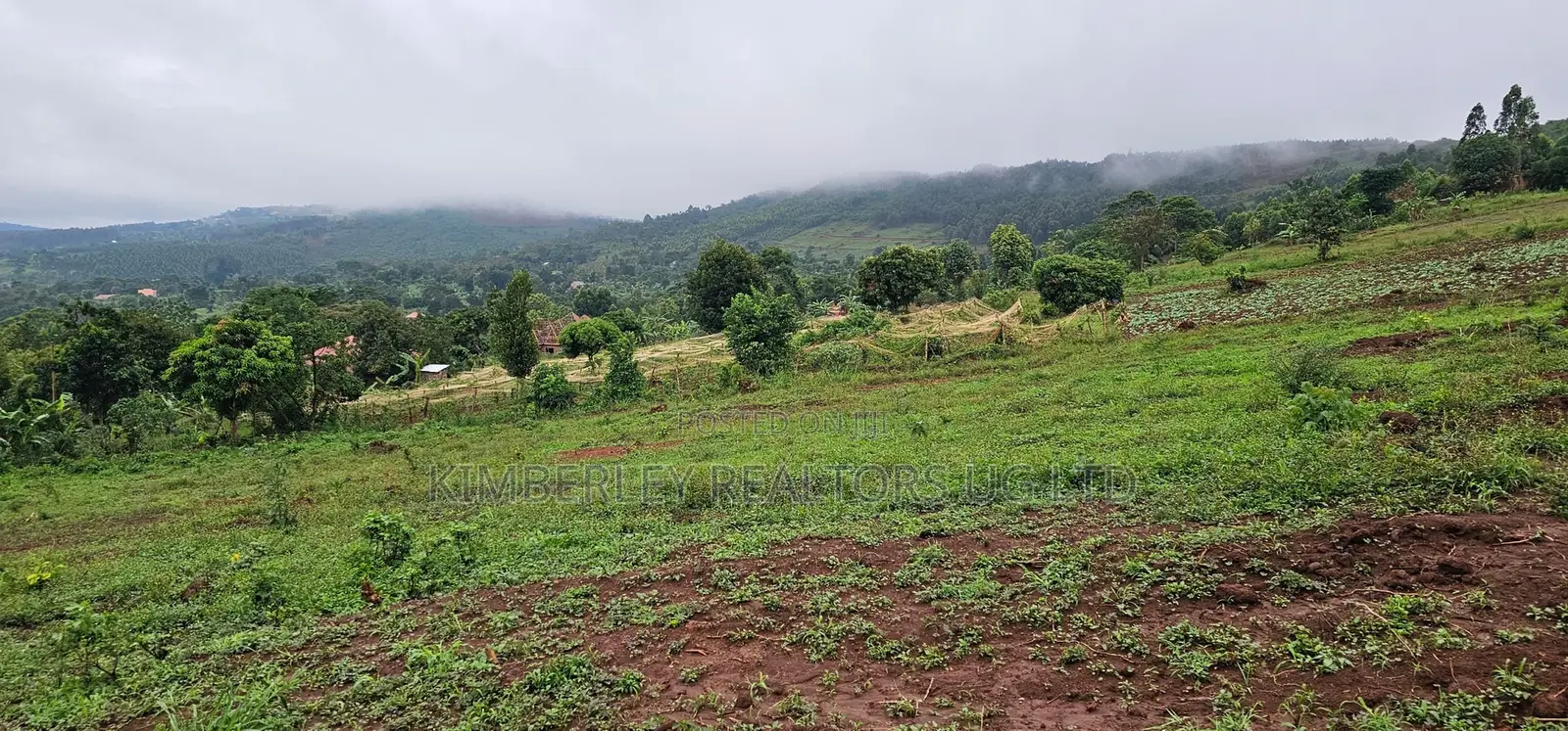 Hill View Plots for Sale – Boza, Mpigi in Mpigi TC