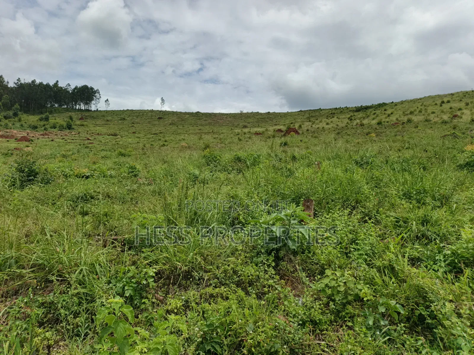 100 Acres of Land on Sale Located in Butiiti Town Council in Kyenjojo