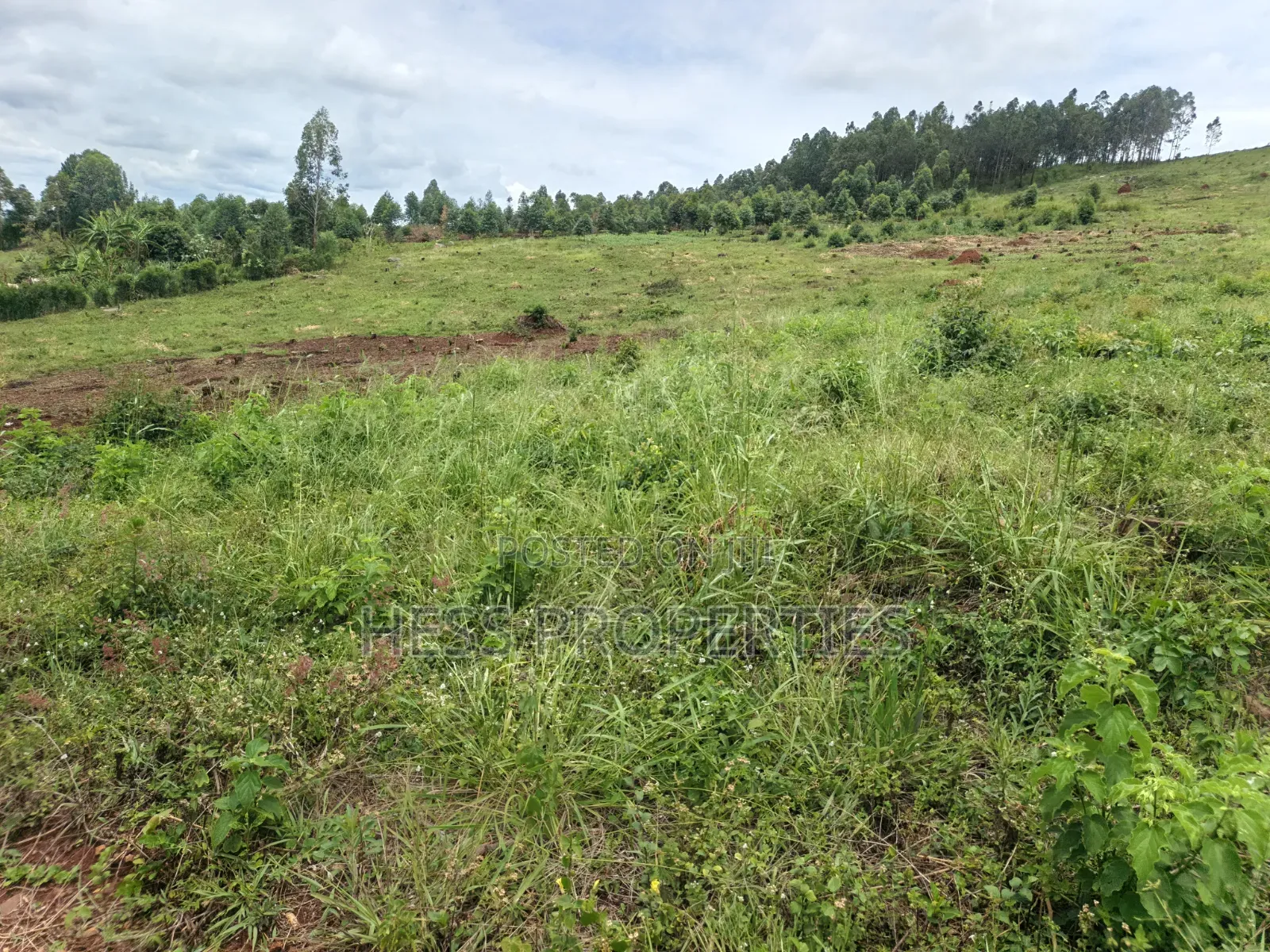 100 Acres of Land on Sale Located in Butiiti Town Council in Kyenjojo