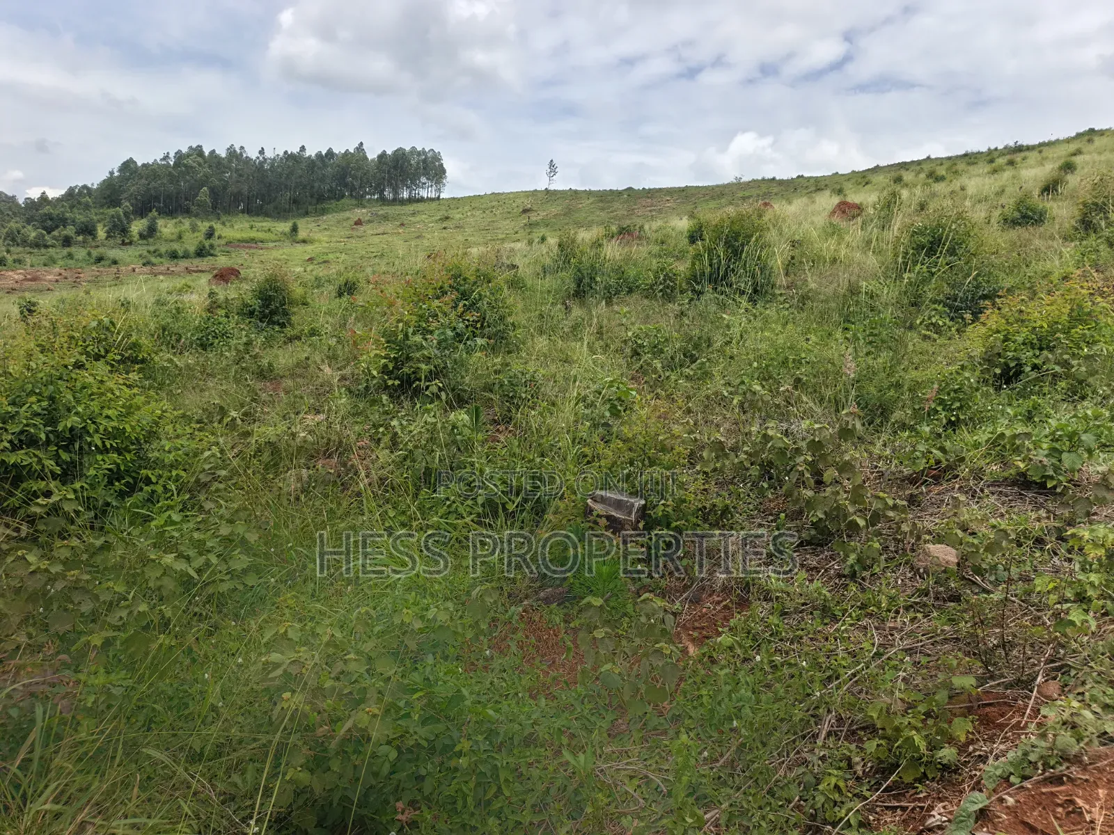 100 Acres of Land on Sale Located in Butiiti Town Council in Kyenjojo
