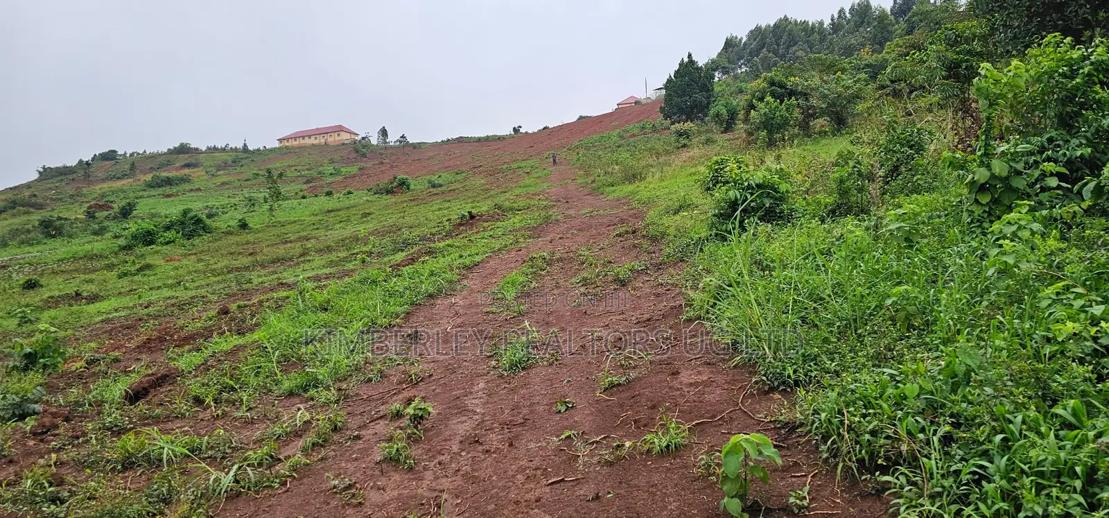  Quick Sale – 1 Acre Lakefront Land for Sale, Bwerenga Bugiri in Division A