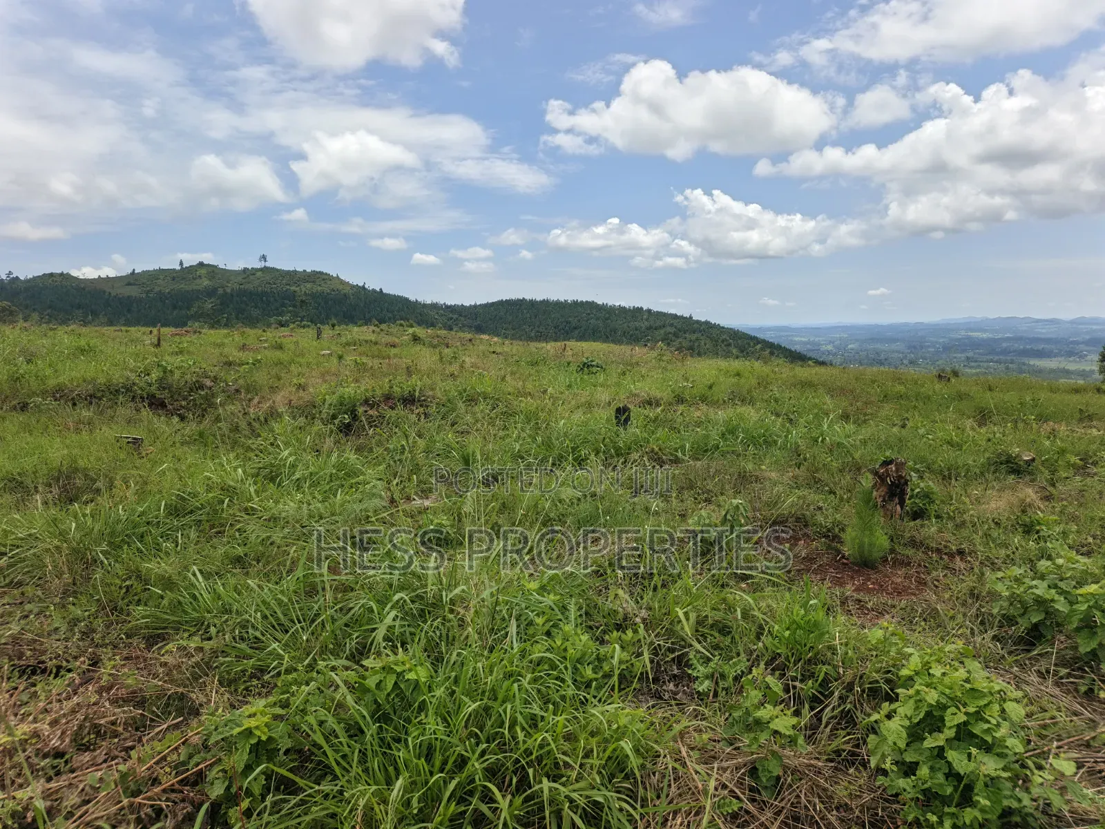 100 Acres of Land on Sale Located in Butiiti Town Council in Kyenjojo