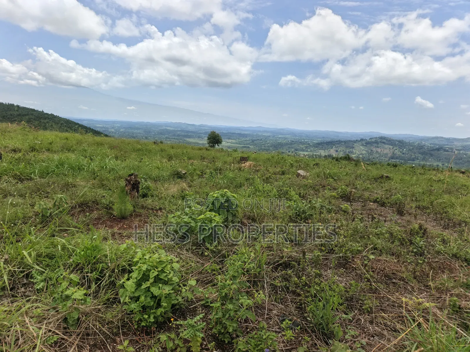 100 Acres of Land on Sale Located in Butiiti Town Council in Kyenjojo