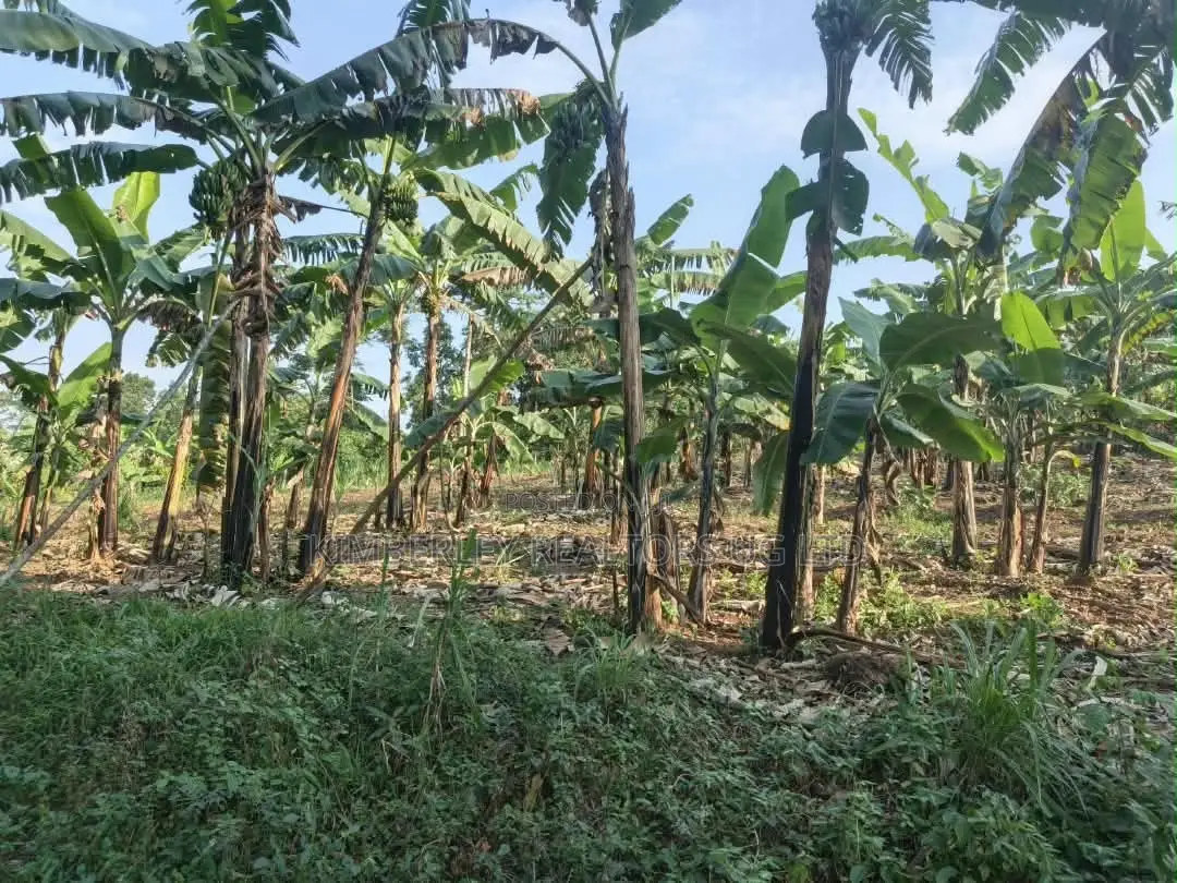 2 Acres of Land for Sale – Zigoti, Mityana Road in Mityana TC