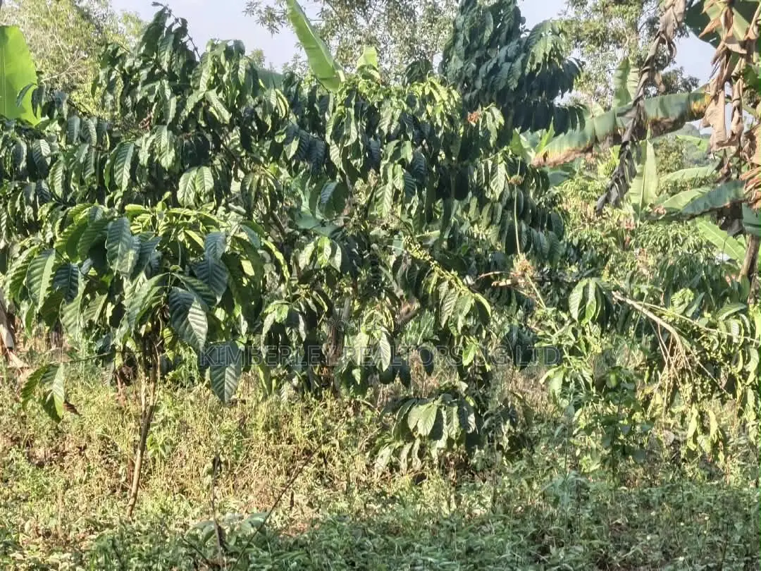 2 Acres of Land for Sale – Zigoti, Mityana Road in Mityana TC