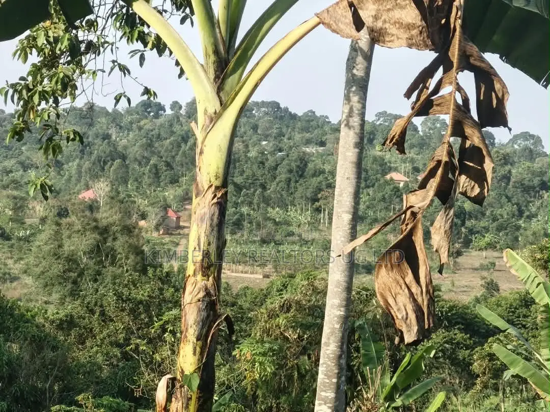 2 Acres of Land for Sale – Zigoti, Mityana Road in Mityana TC