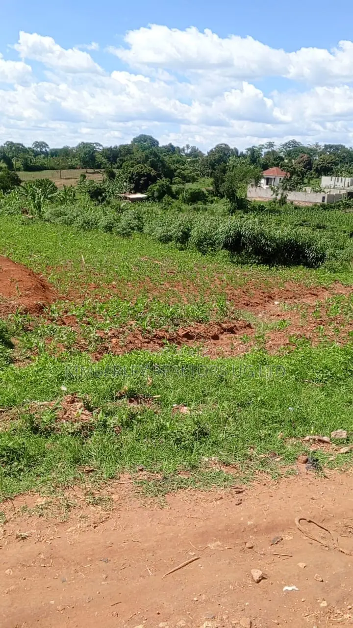 3 Plots of Land for Sale – Kabubu, Mukasa Road in Division A