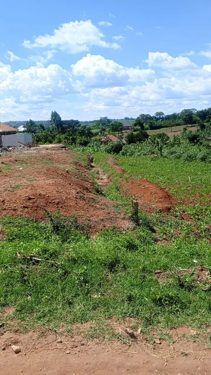 3 Plots of Land for Sale – Kabubu, Mukasa Road in Division A