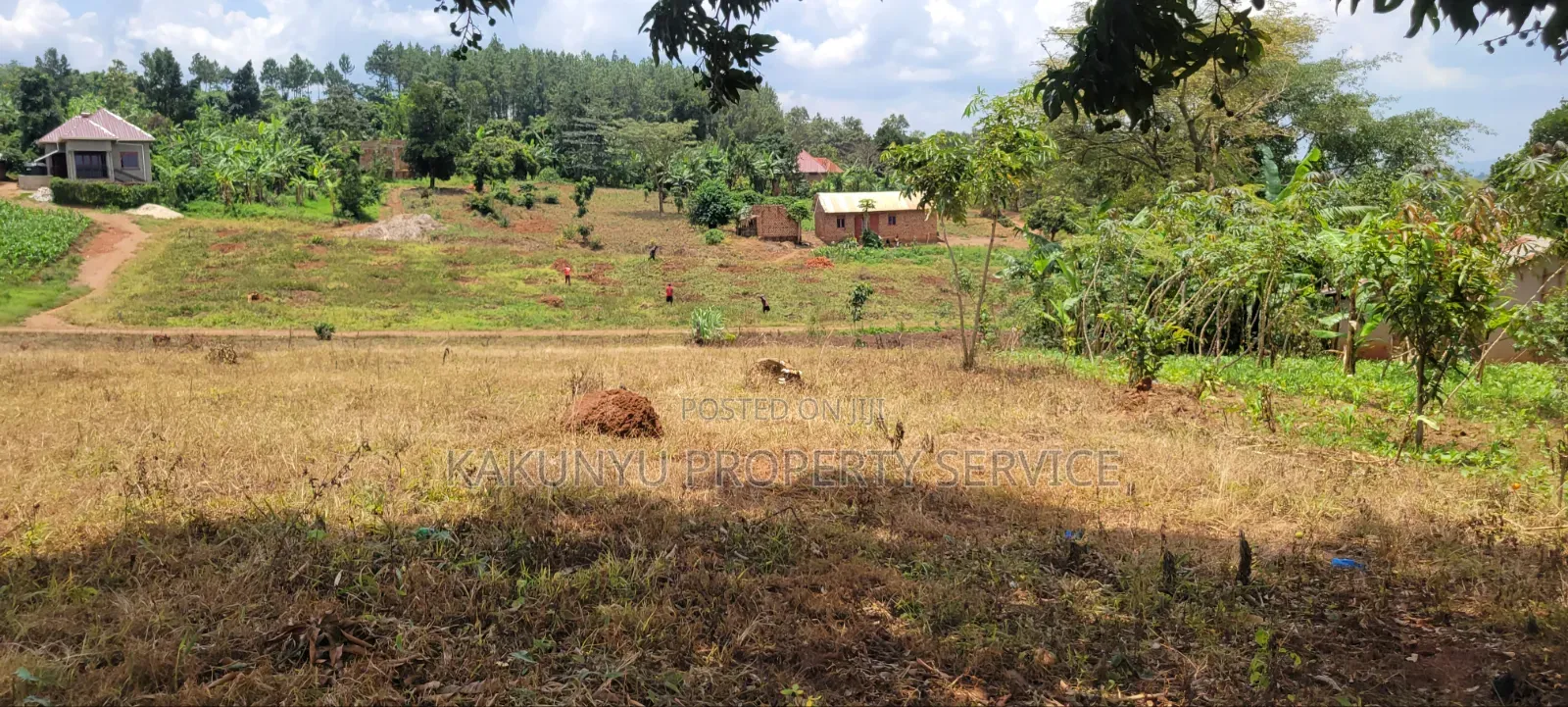 12M Ready Title, Namayumba in Wakiso / Wakiso