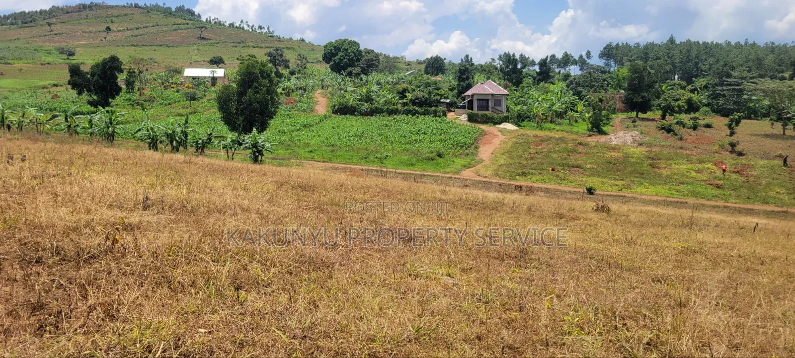 12M Ready Title, Namayumba in Wakiso / Wakiso