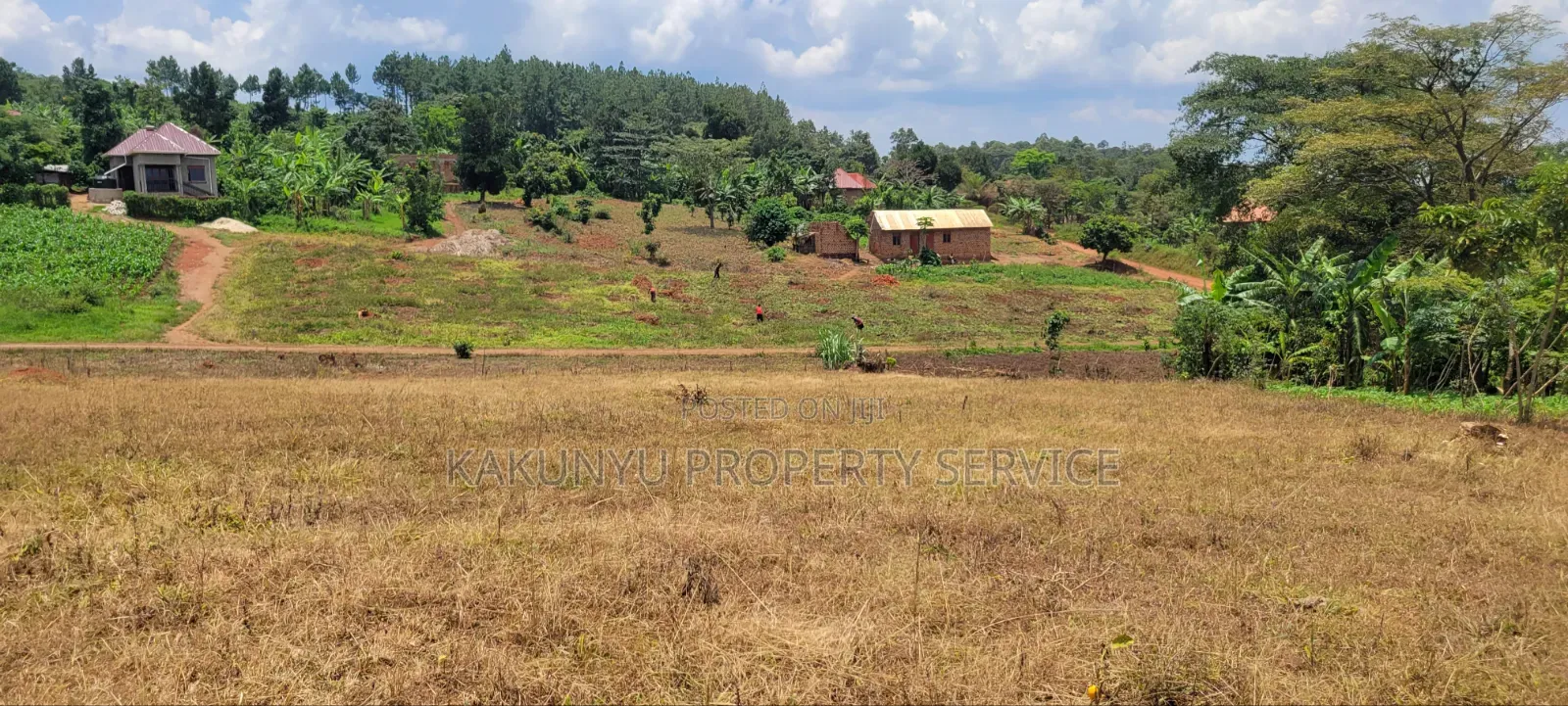 12M Ready Title, Namayumba in Wakiso / Wakiso