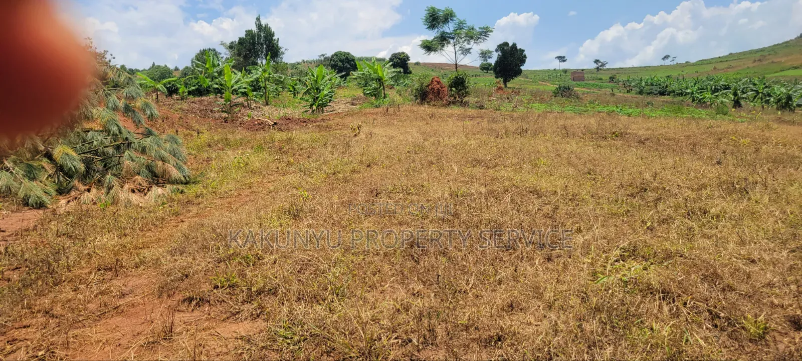 12M Ready Title, Namayumba in Wakiso / Wakiso