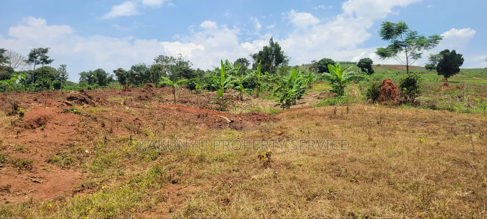 12M Ready Title, Namayumba in Wakiso / Wakiso
