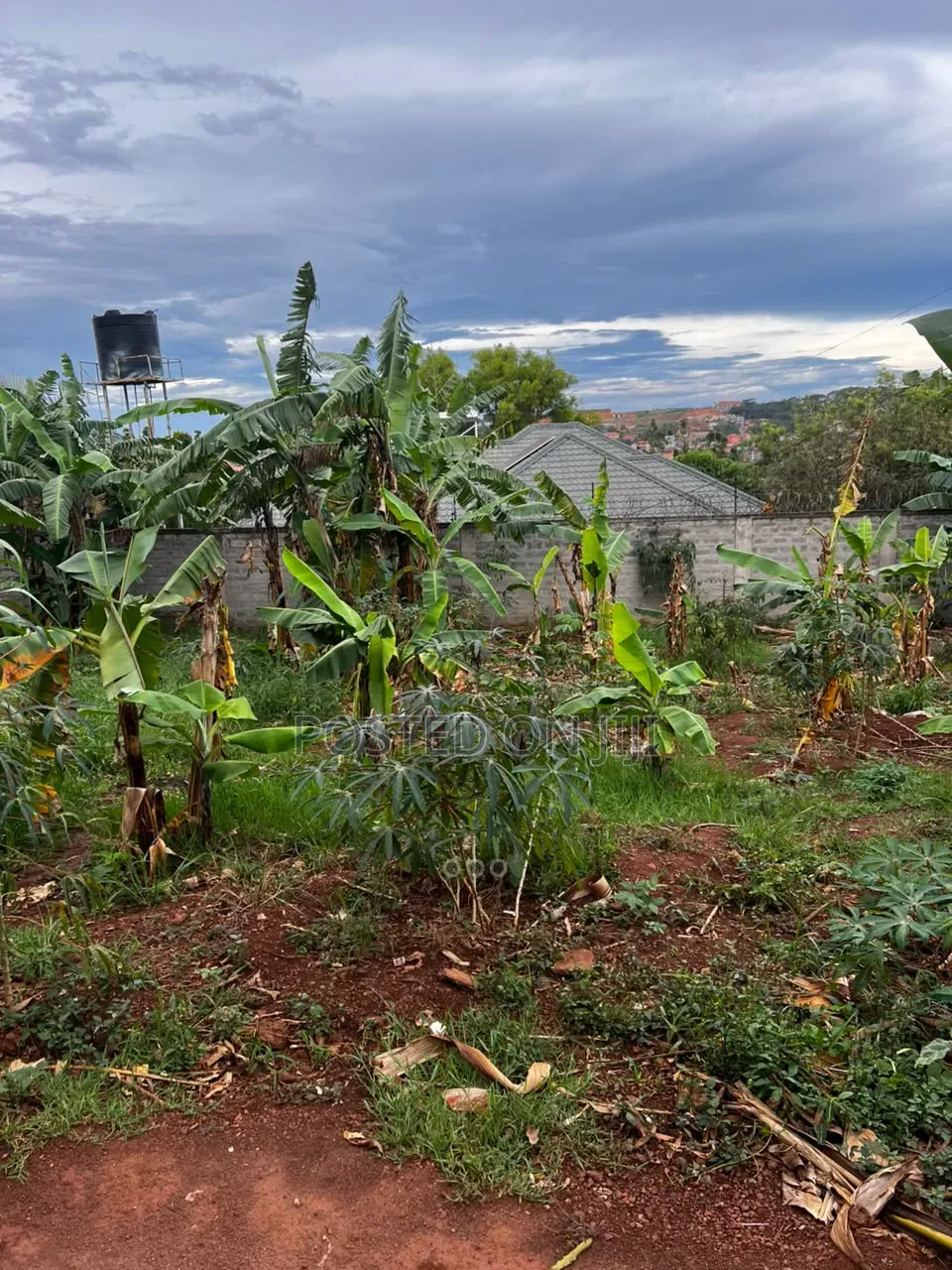 Plot for Sale in Nalumunye in Central Division
