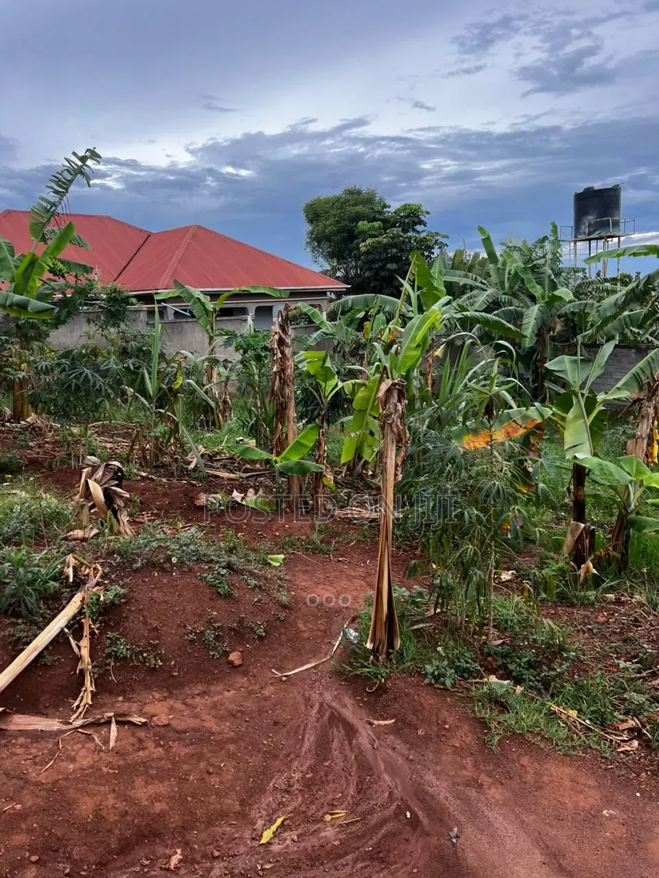 Plot for Sale in Nalumunye in Central Division