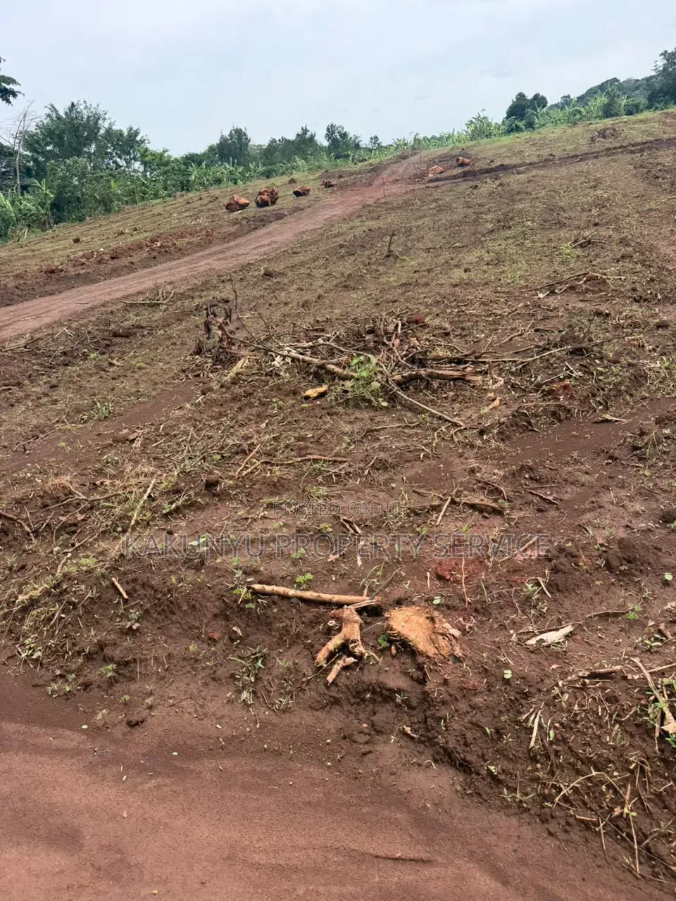 Kakiri Mwera 18m Titled Plots in Wakiso / Wakiso